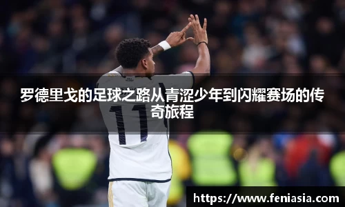 竞技宝下载